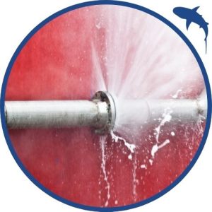 Gallery image 12 — Shark Plumbing Services