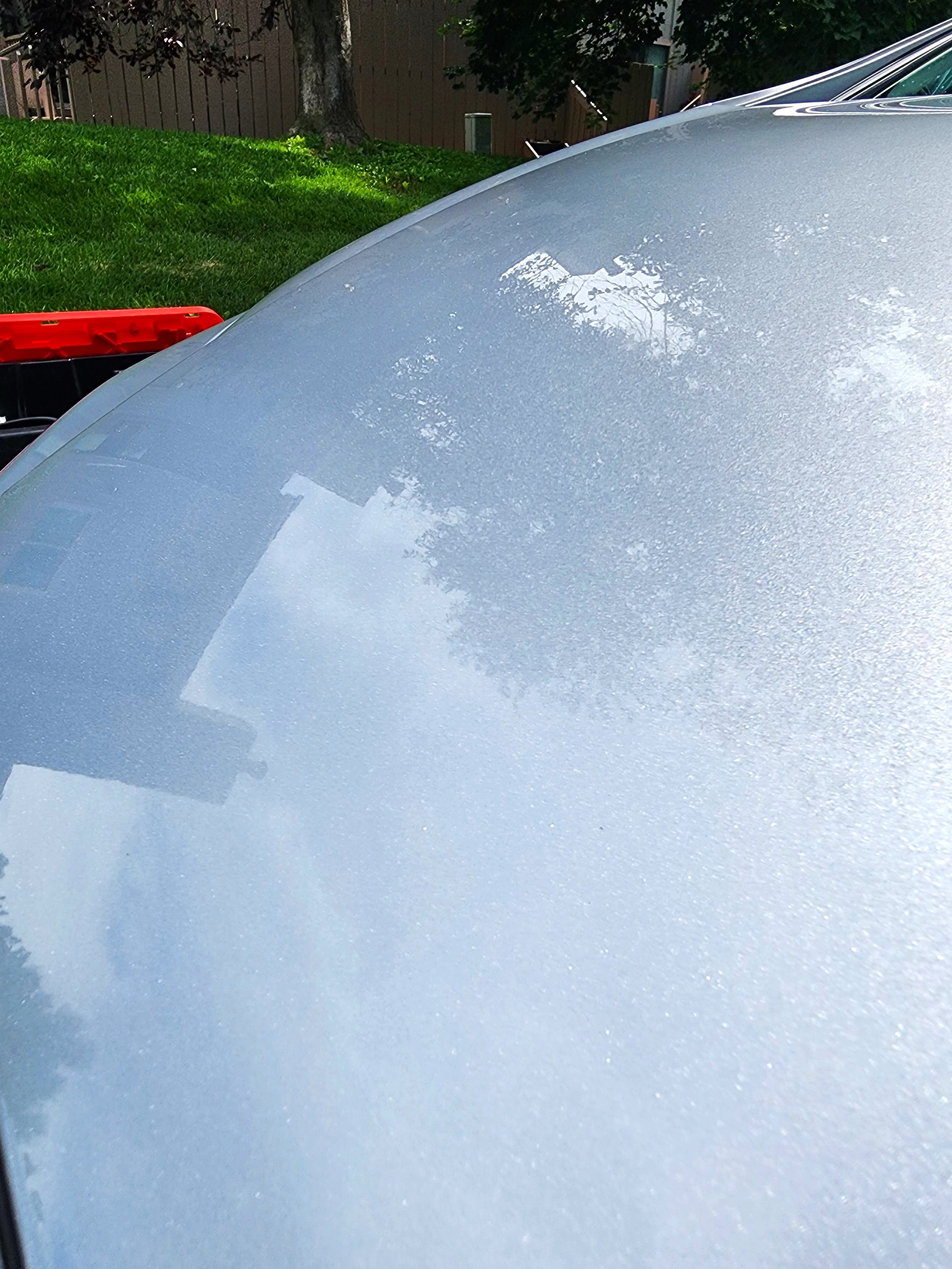 Gallery image 4 — car detailing service Centennial