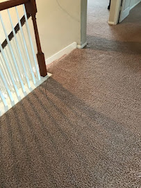 About Houston carpet cleaning near me