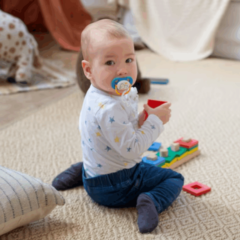 Gallery image 3 — pet stain removal Houston