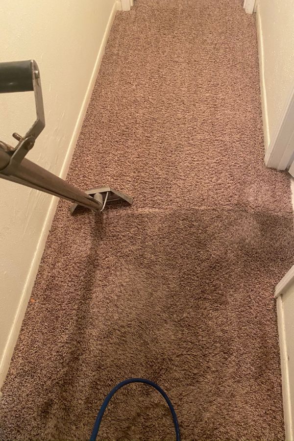 Gallery image 4 — commercial carpet cleaning Houston
