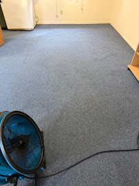 About emergency spot removal near me