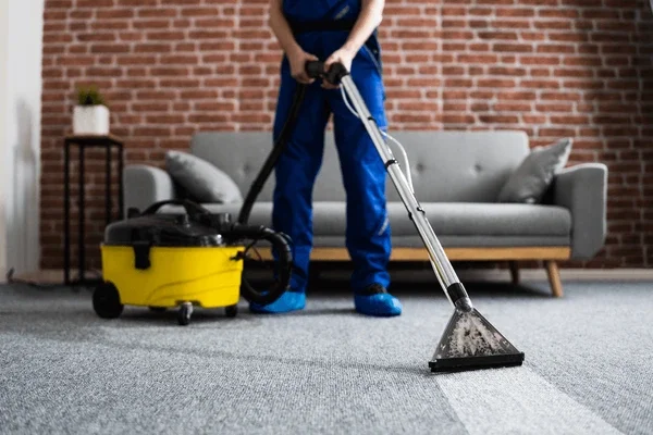 Gallery image 4 — professional carpet cleaners Houston