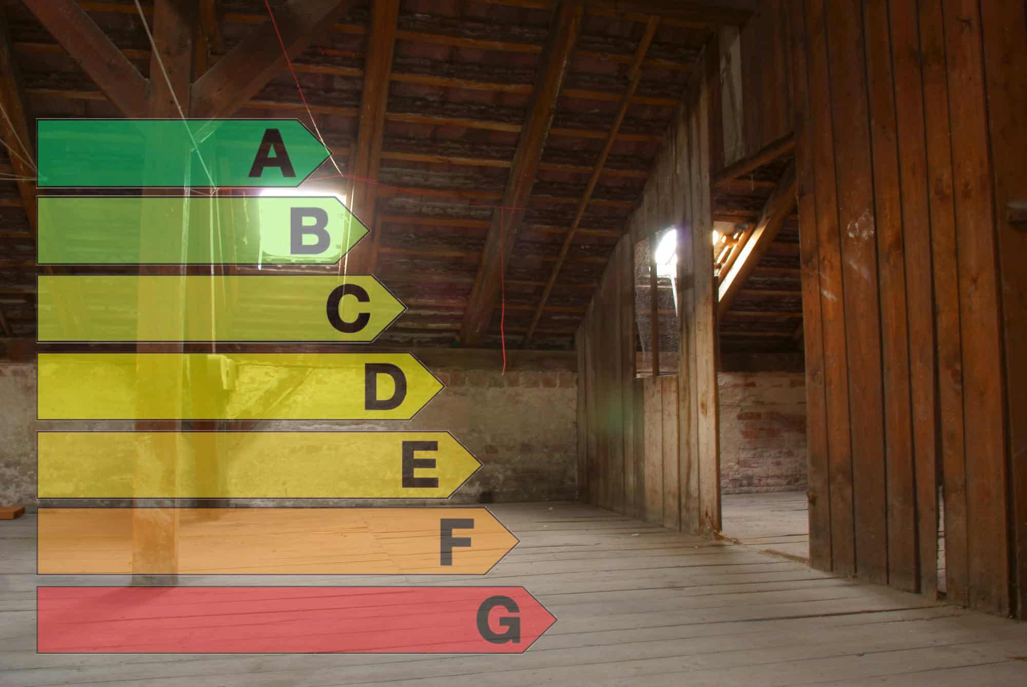 Gallery image 2 — mold inspection Houston