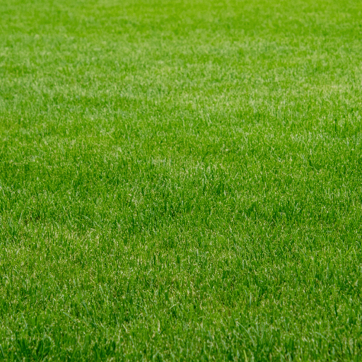 Gallery image 1 — licensed pressure washing company Las Vegas