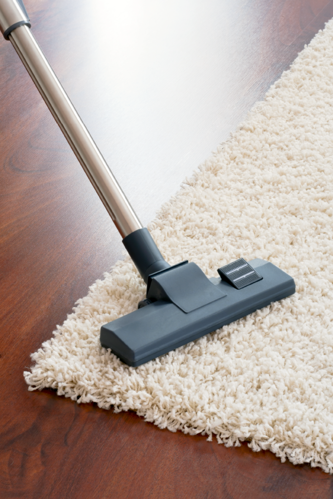 professional home cleaners Fort Worth