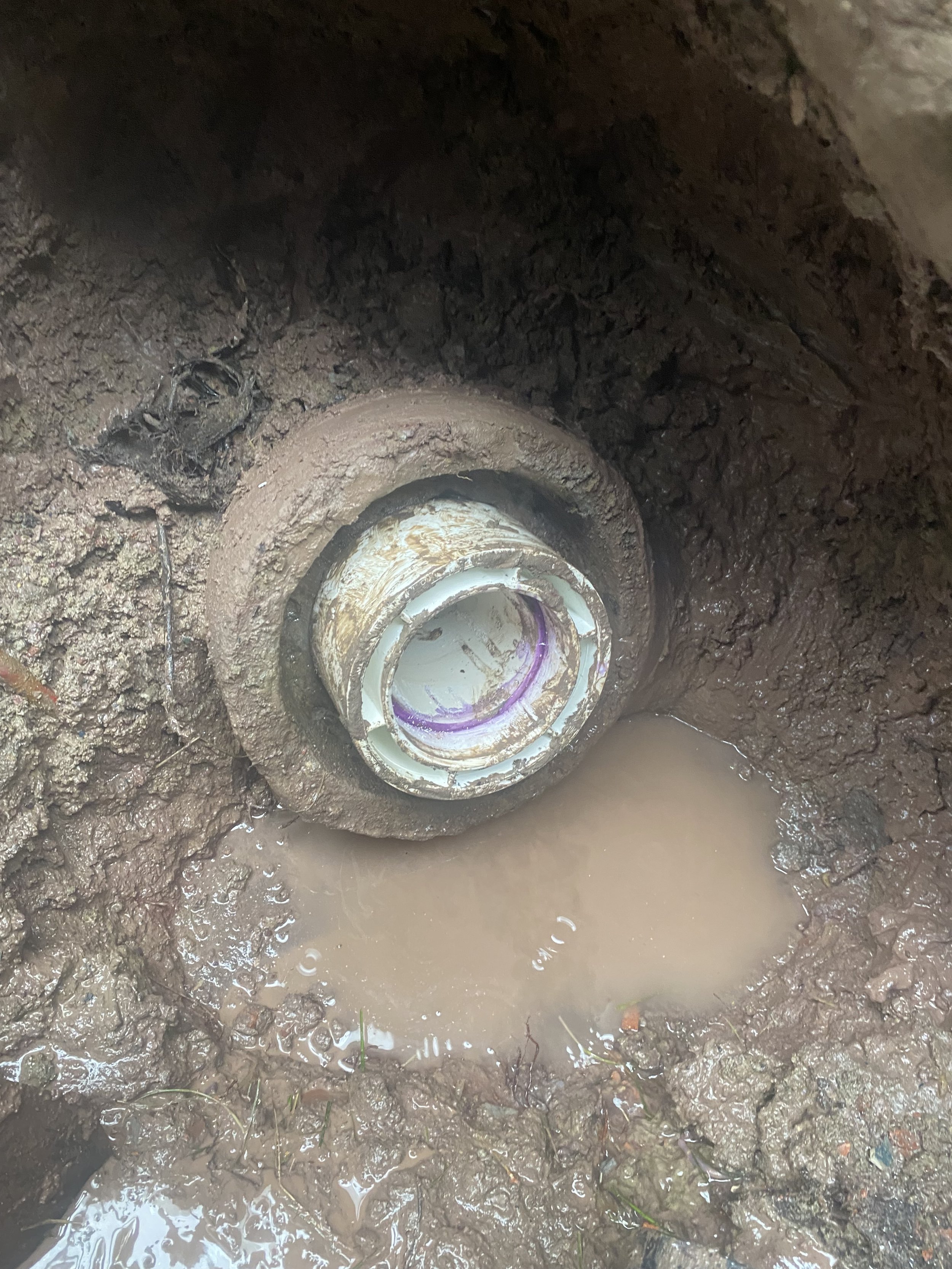 Gallery image 1 — flood cleanup services near me