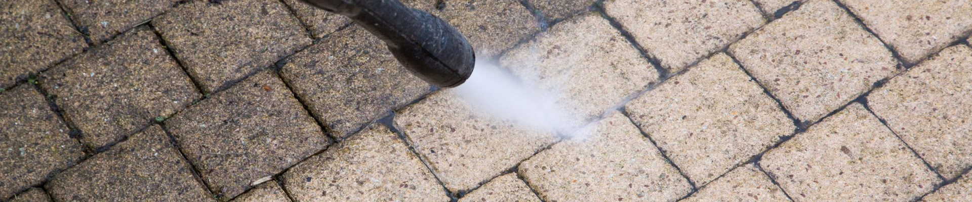 mold and mildew removal Las Vegas