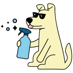 Dallas Fort Worth cleaning service