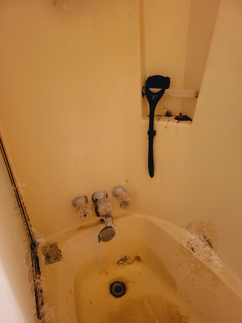 Gallery image 6 — professional house cleaners Celina