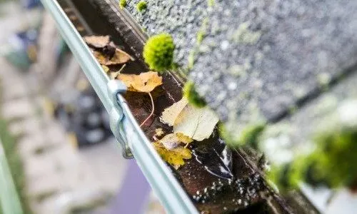 Gallery image 4 — gutter guard installation near me