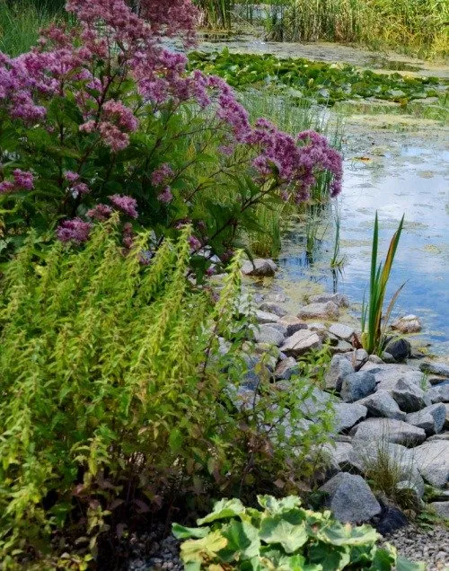 Gallery image 8 — gutter guard installation near me