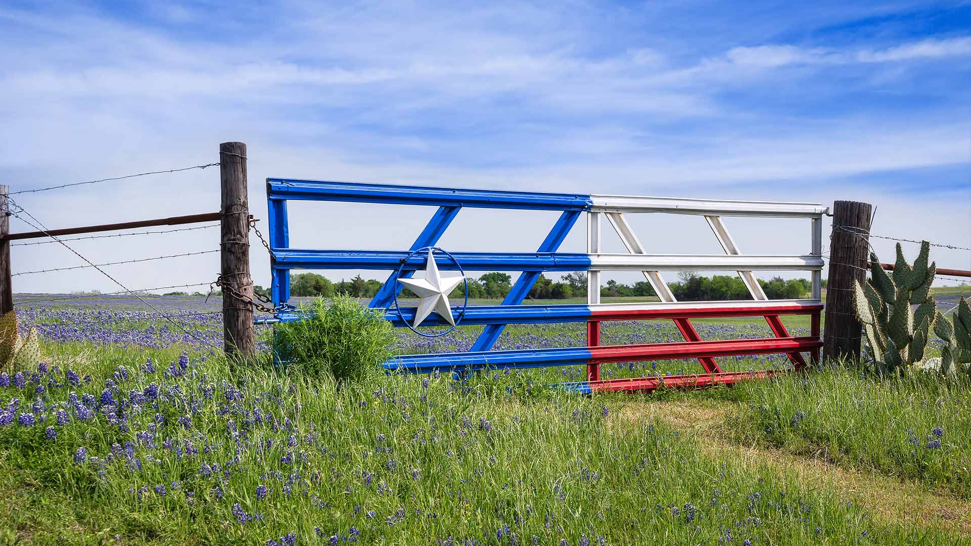 exterior house cleaning in Cedar Park