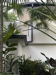Gallery image 1 — gutter cleaning near me