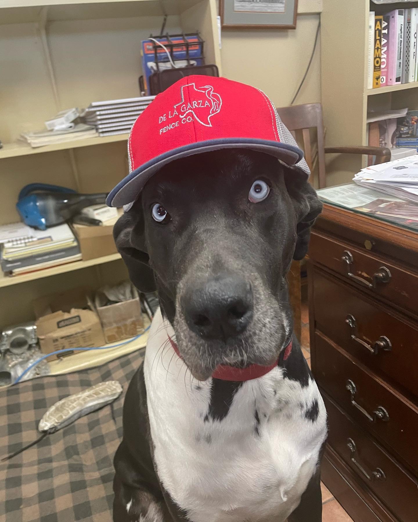 Gallery image 7 — affordable chain link fence San Antonio