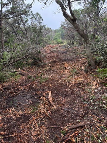 Gallery image 10 — high tensile fence South Texas
