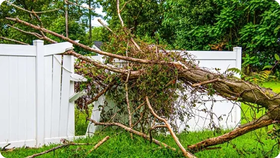 Gallery image 5 — fence installation near me
