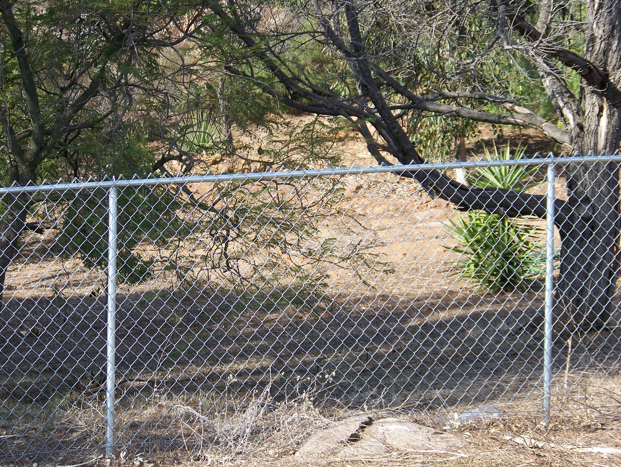 Gallery image 5 — privacy fence installation San Diego