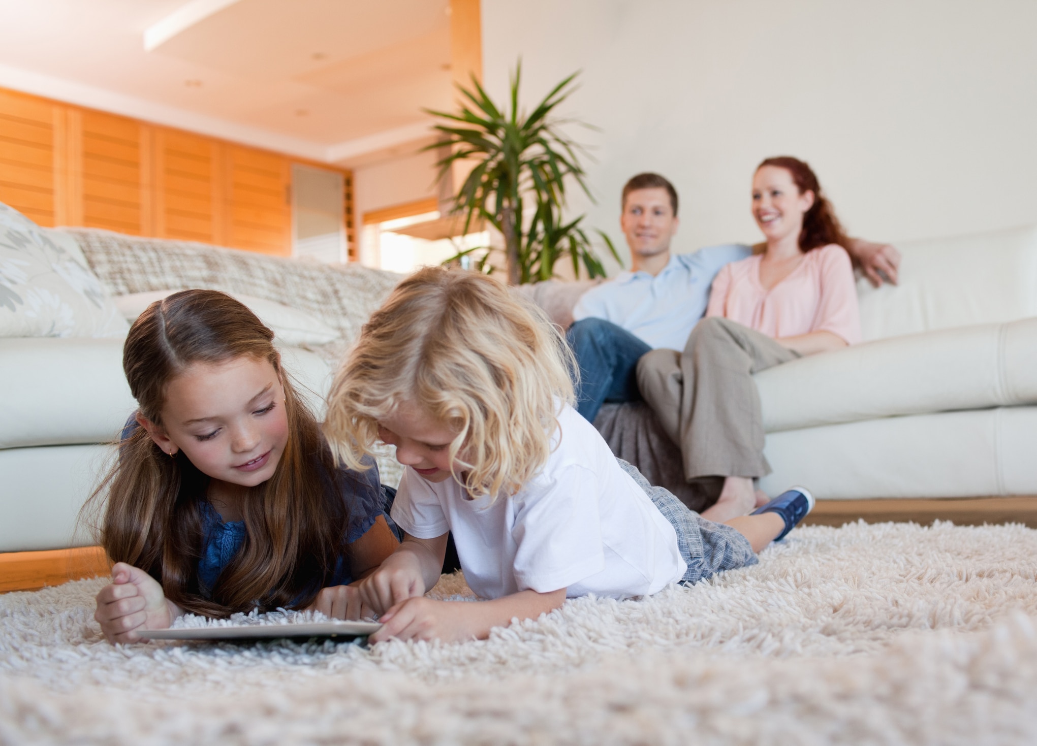 stain removal carpet cleaning San Antonio