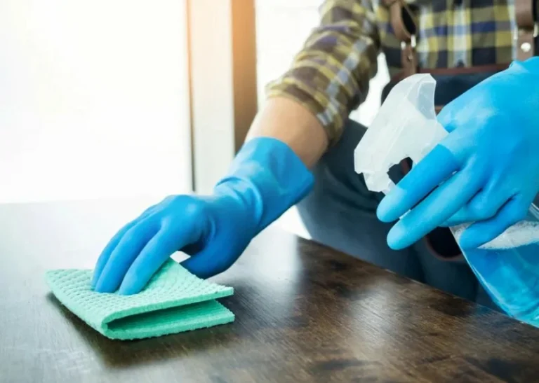 Gallery image 4 — stain removal carpet cleaning San Antonio