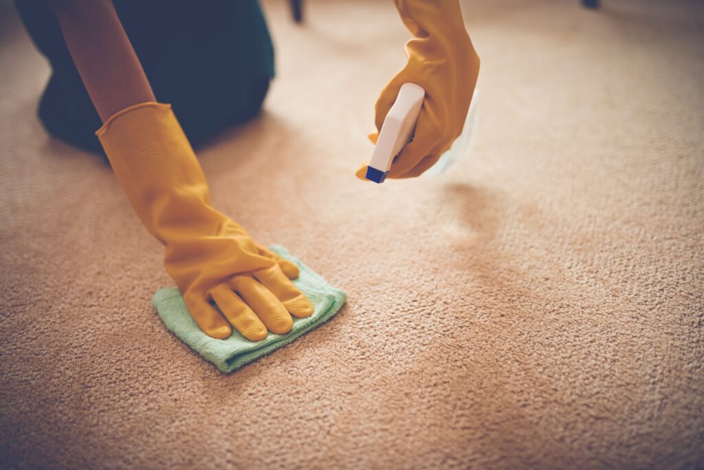 Gallery image 7 — stain removal carpet cleaning San Antonio