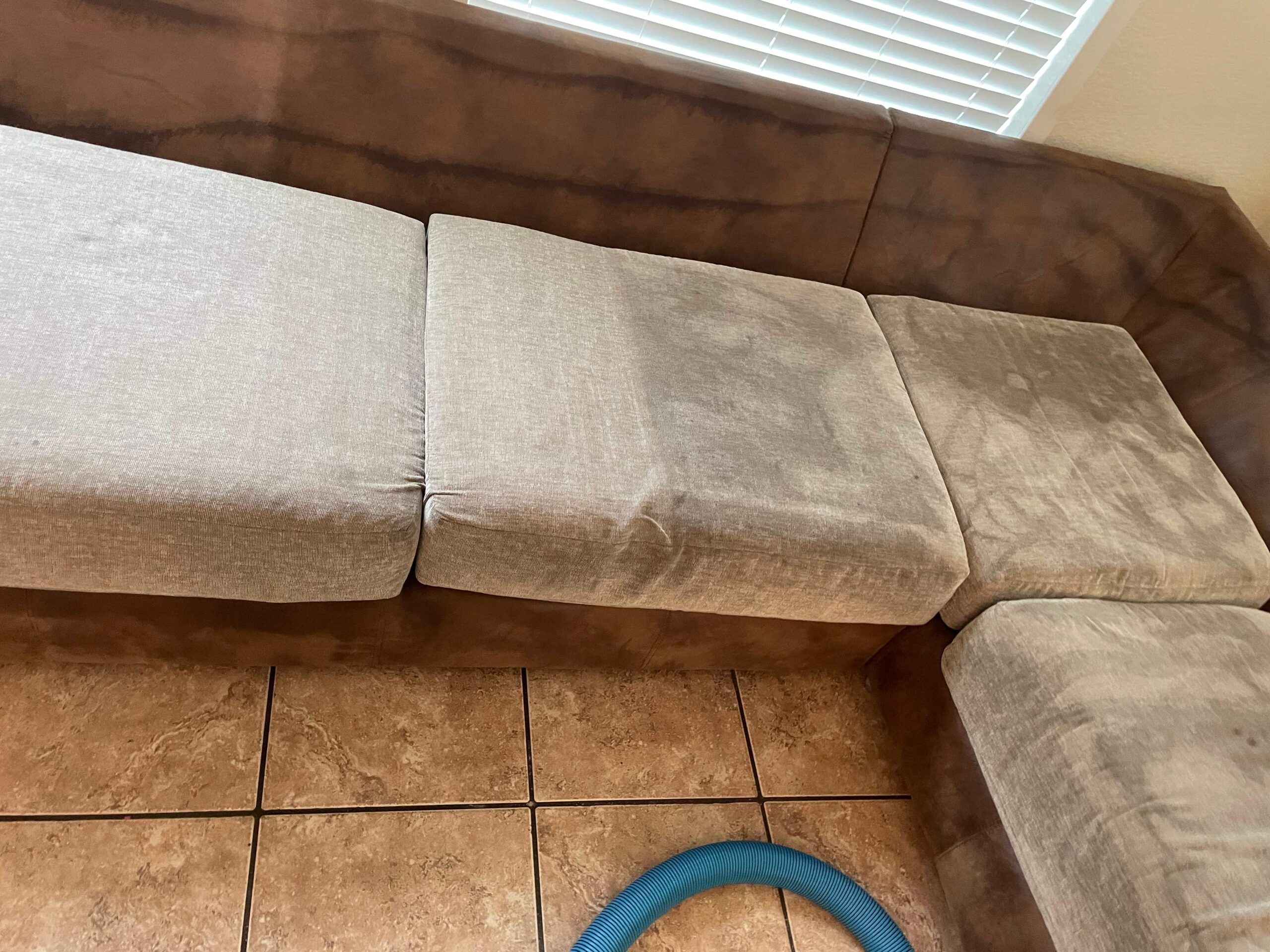 Gallery image 8 — affordable carpet cleaning near me