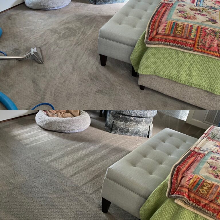 Gallery image 6 — affordable carpet cleaning near me