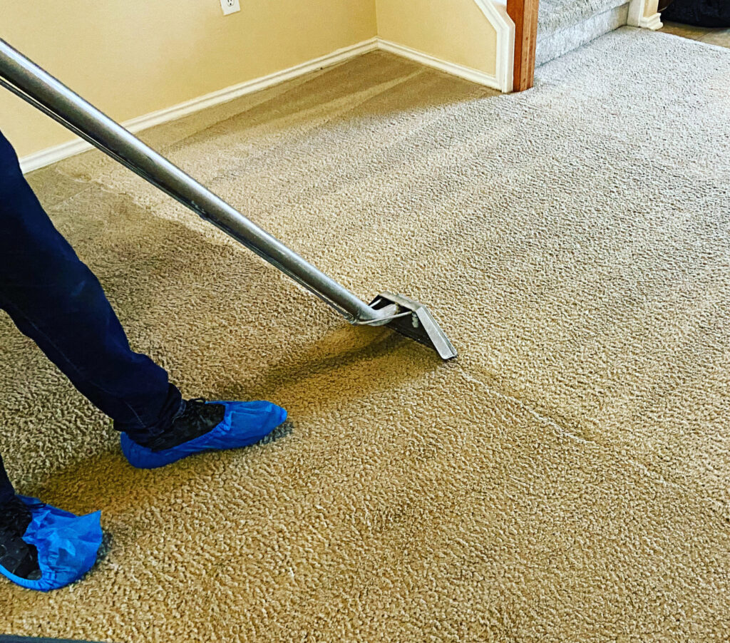 affordable carpet cleaning near me