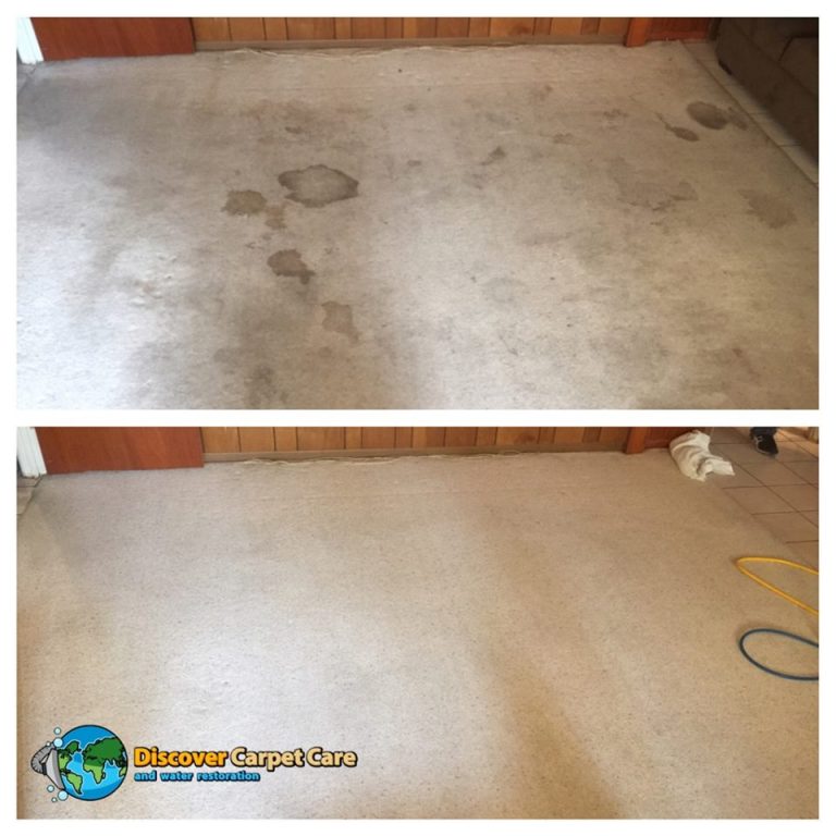 Gallery image 7 — Discover Carpet Care