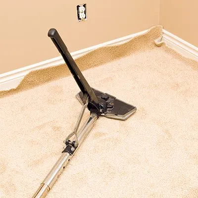 Gallery image 5 — Discover Carpet Care