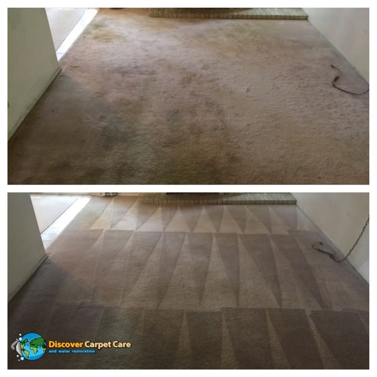Gallery image 3 — Discover Carpet Care