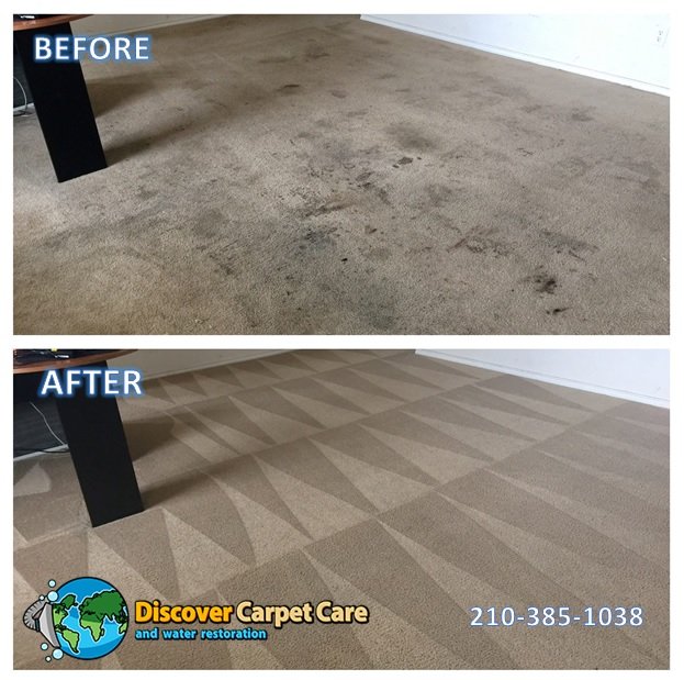 Gallery image 6 — Discover Carpet Care