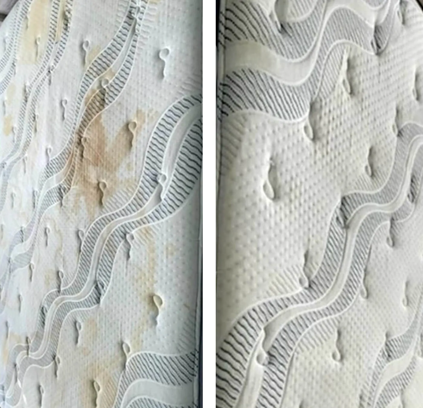 Gallery image 6 — carpet cleaning San Antonio