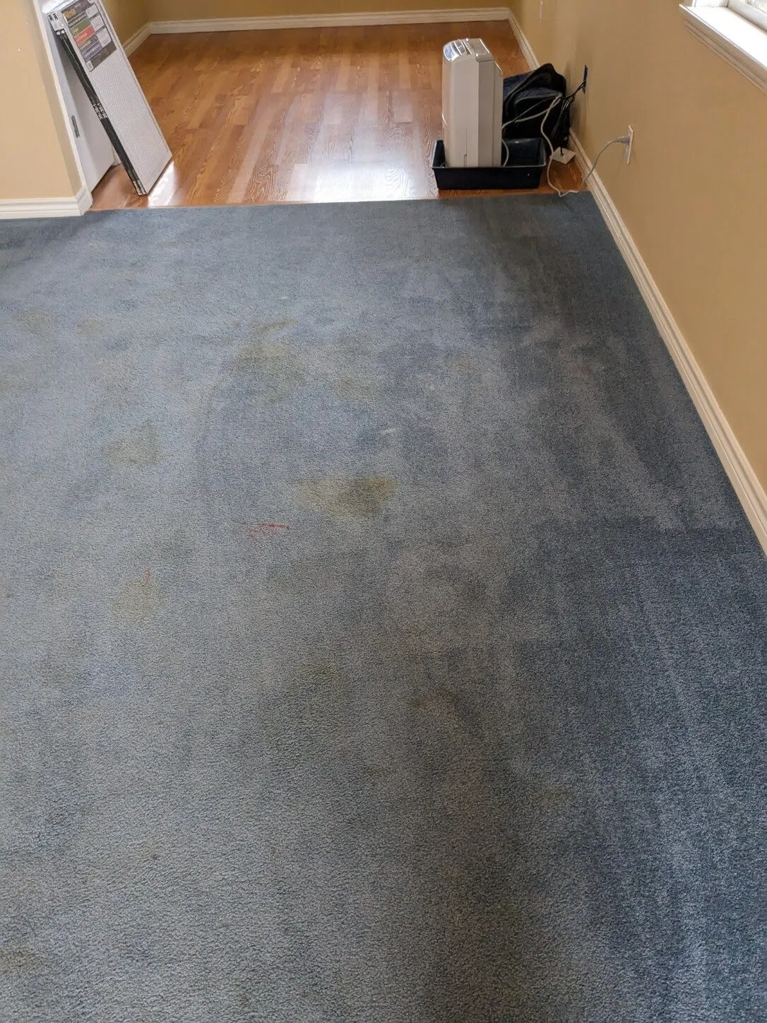 Gallery image 7 — carpet cleaning San Antonio