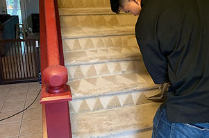 Gallery image 5 — upholstery cleaning near me