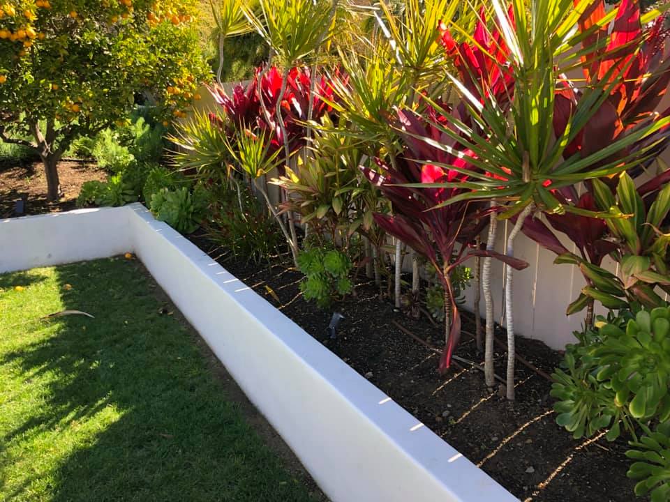 Gallery image 13 — professional landscaping services near me