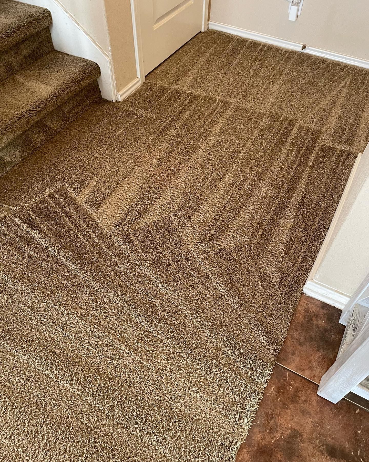 Gallery image 5 — emergency pet odor removal San Antonio