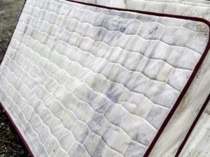 Gallery image 1 — commercial cleanout San Diego