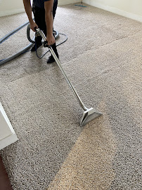 Gallery image 5 — pet stain removal San Antonio