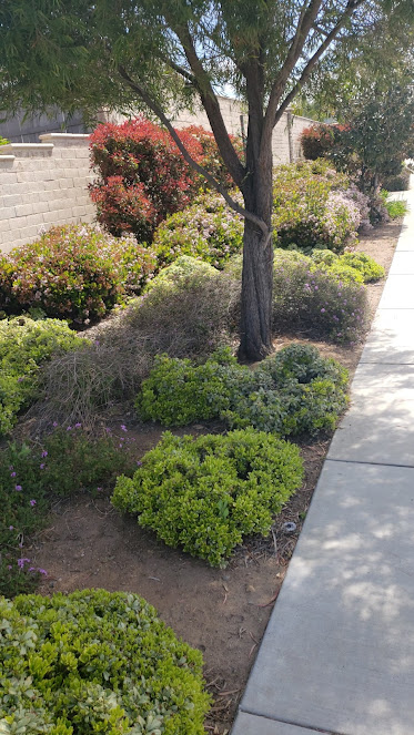 commercial fence installation San Diego County