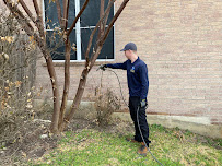 Gallery image 4 — cockroach extermination San Antonio