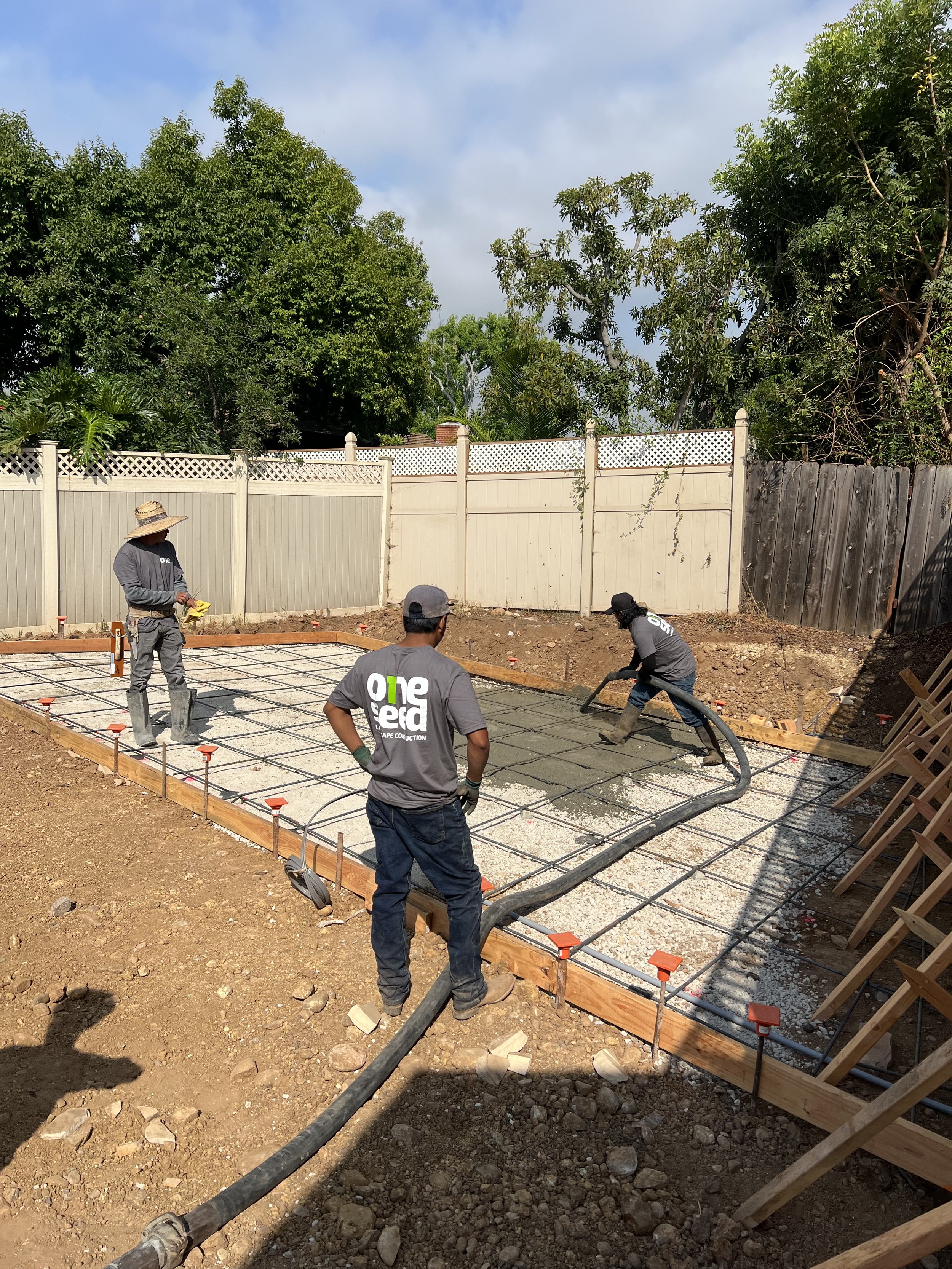 Gallery image 11 — exotic fruit tree planting near me