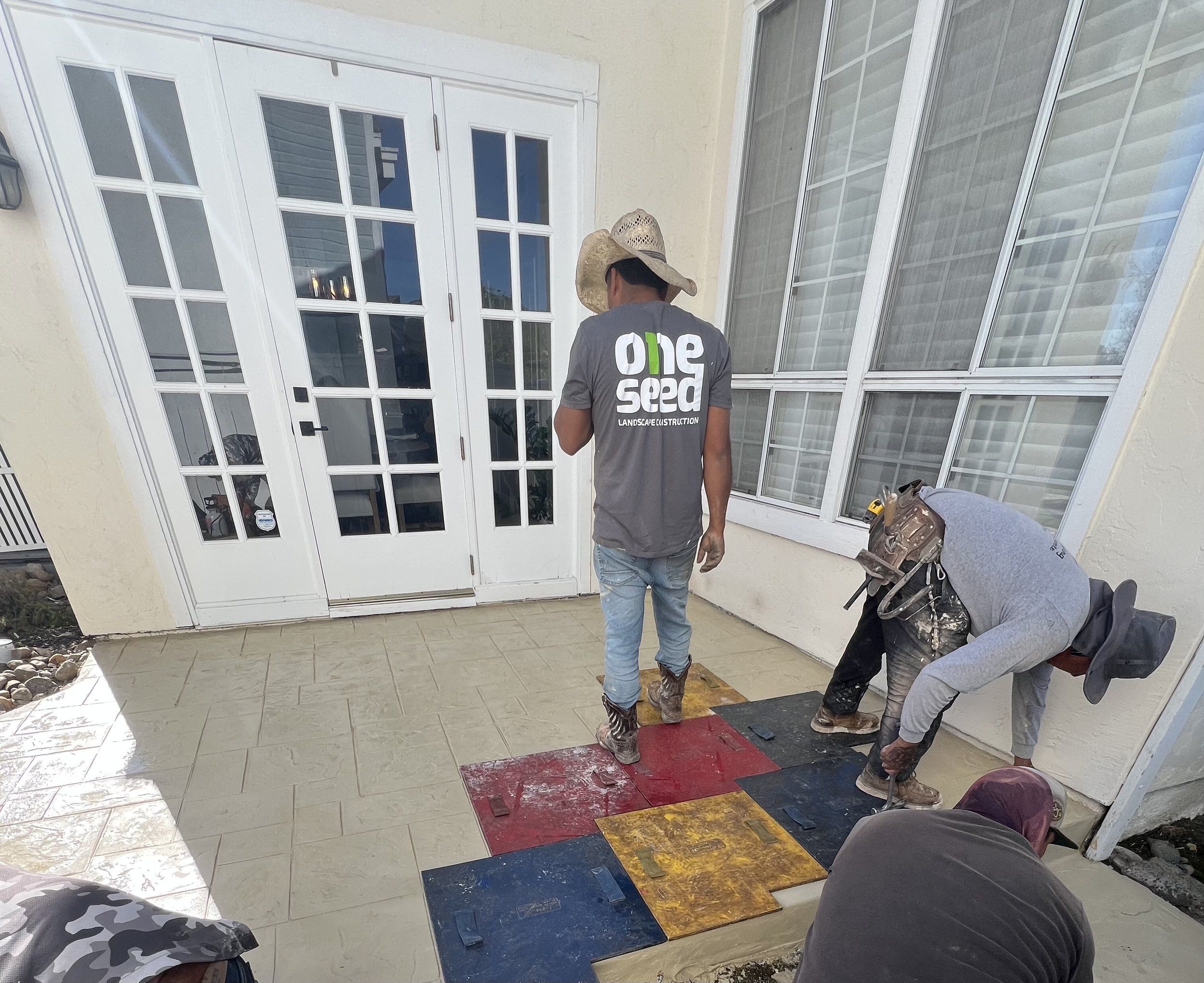 Gallery image 3 — exotic fruit tree planting near me