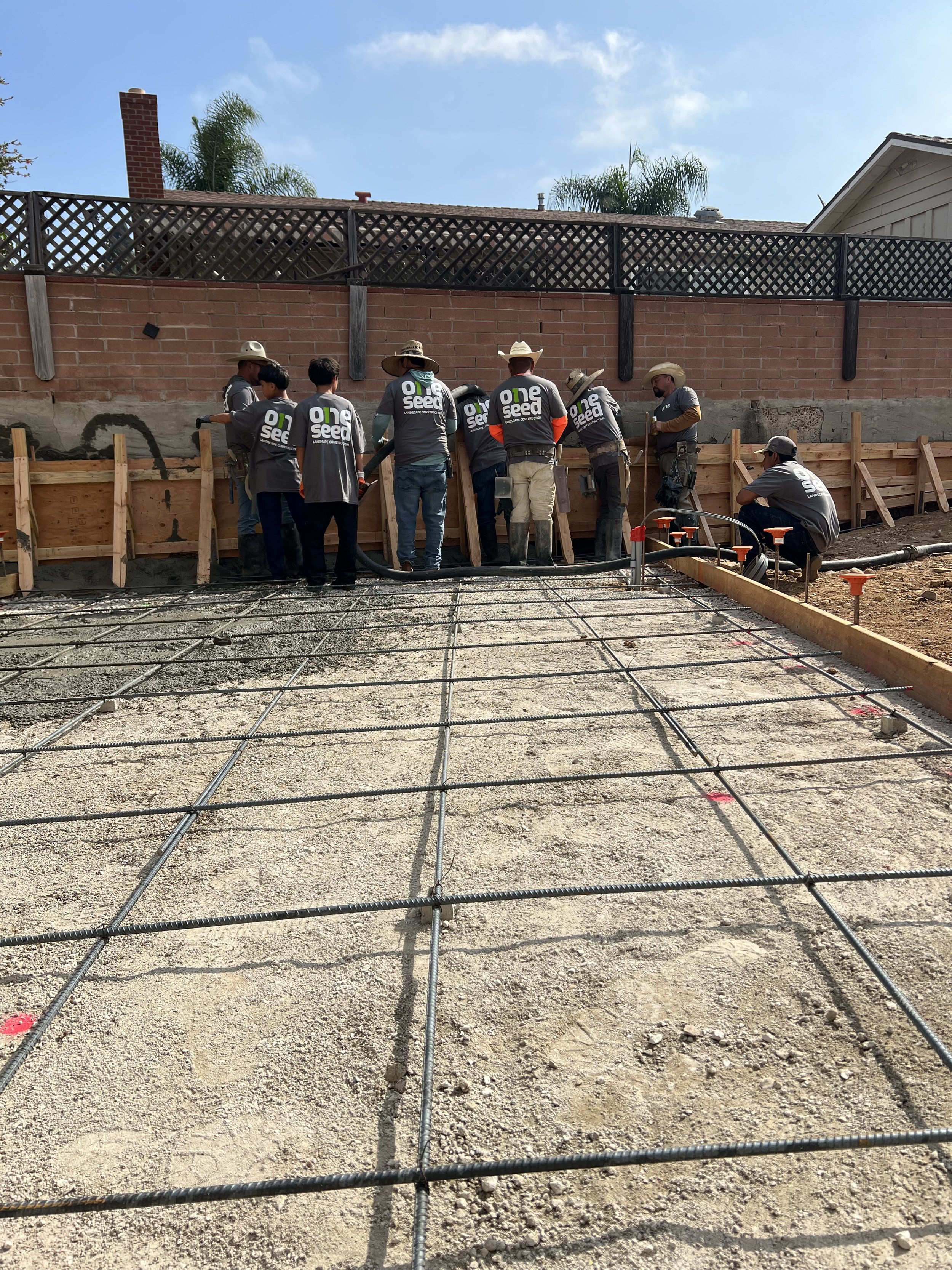 About exotic fruit tree planting near me