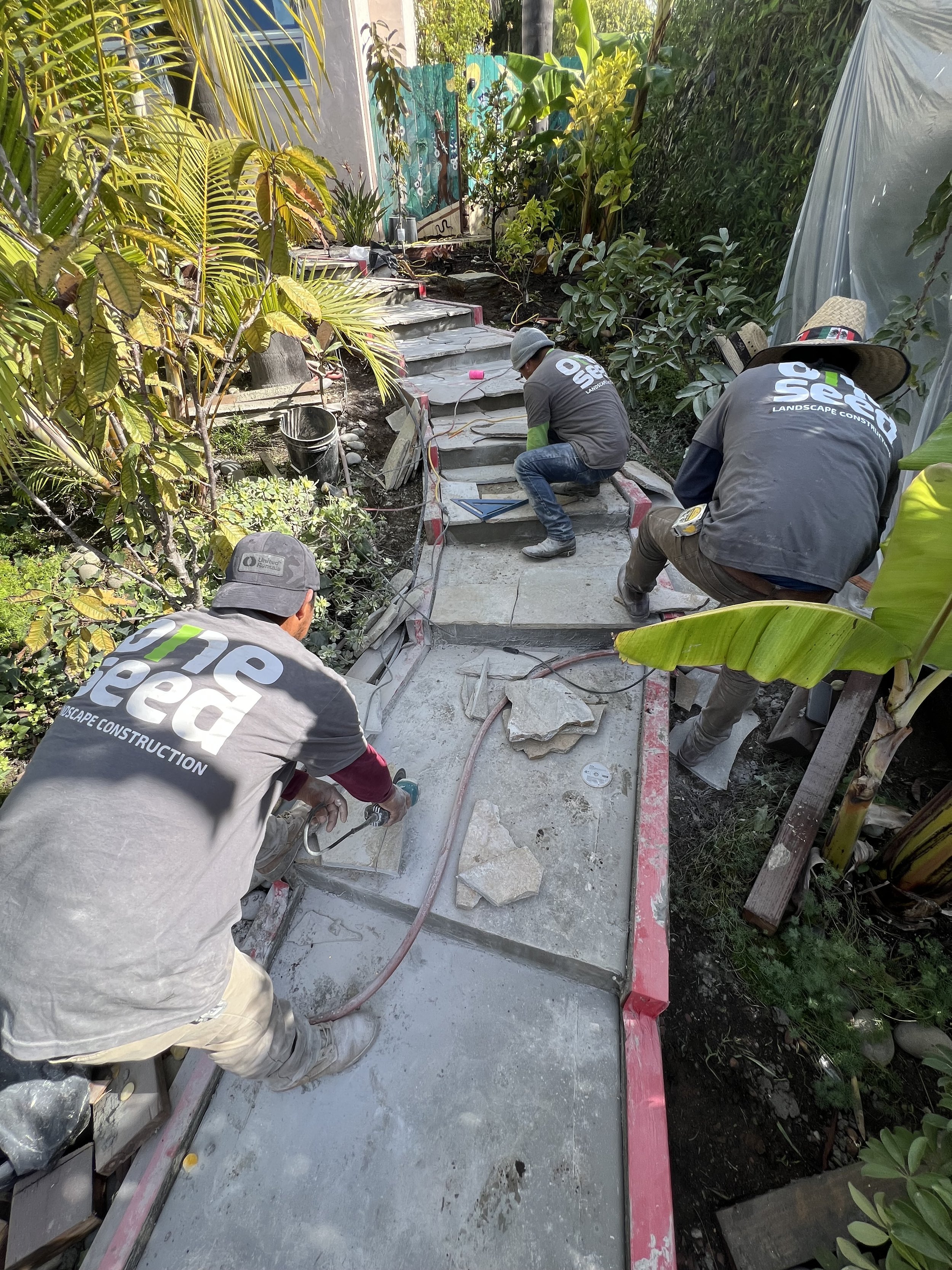 Gallery image 14 — exotic fruit tree planting near me