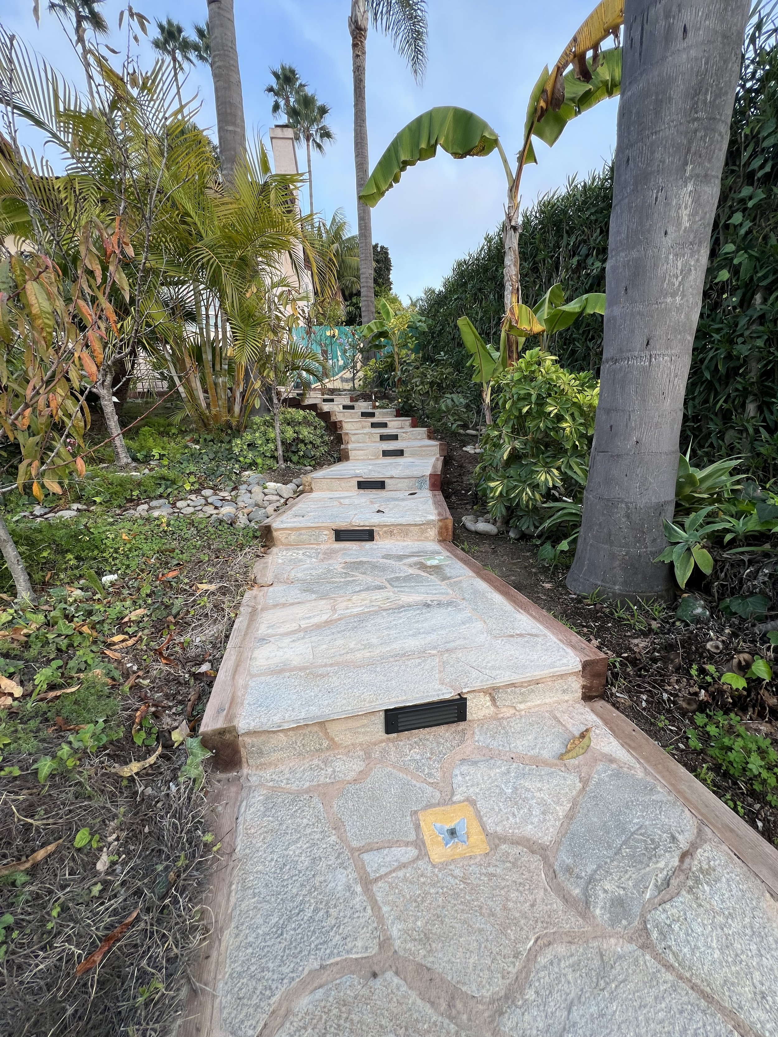 Gallery image 2 — exotic fruit tree planting near me