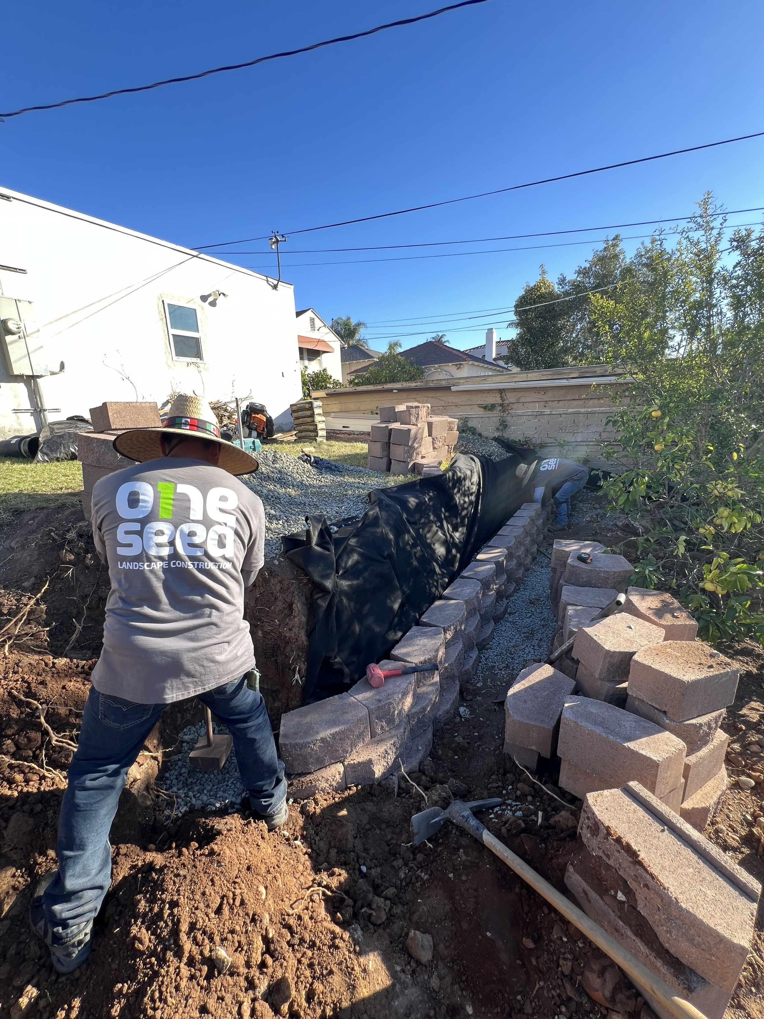 Gallery image 1 — exotic fruit tree planting near me