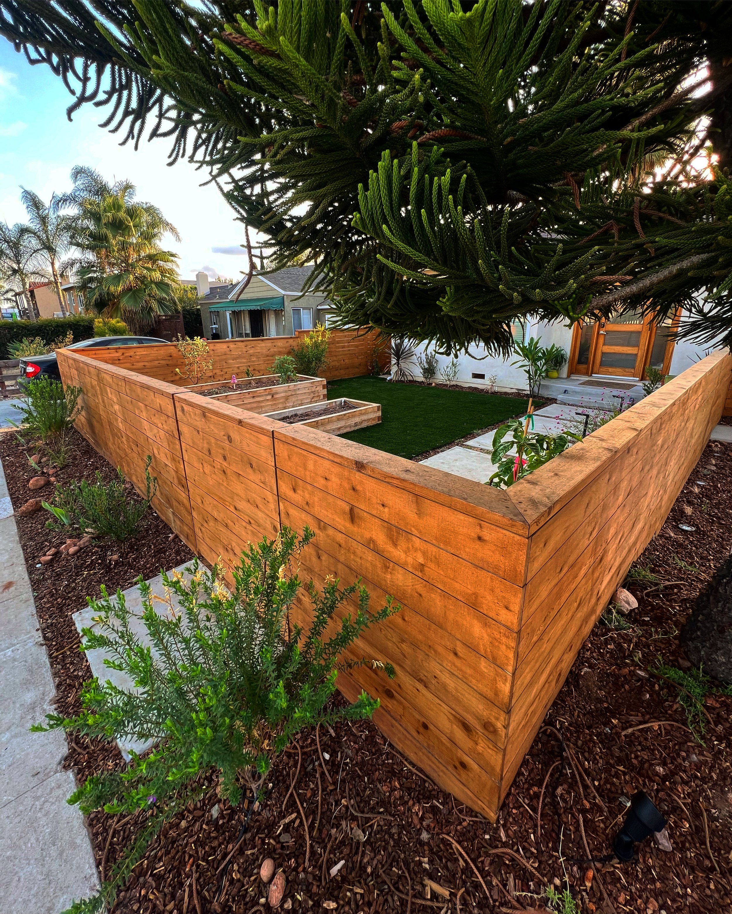 Gallery image 15 — exotic fruit tree planting near me