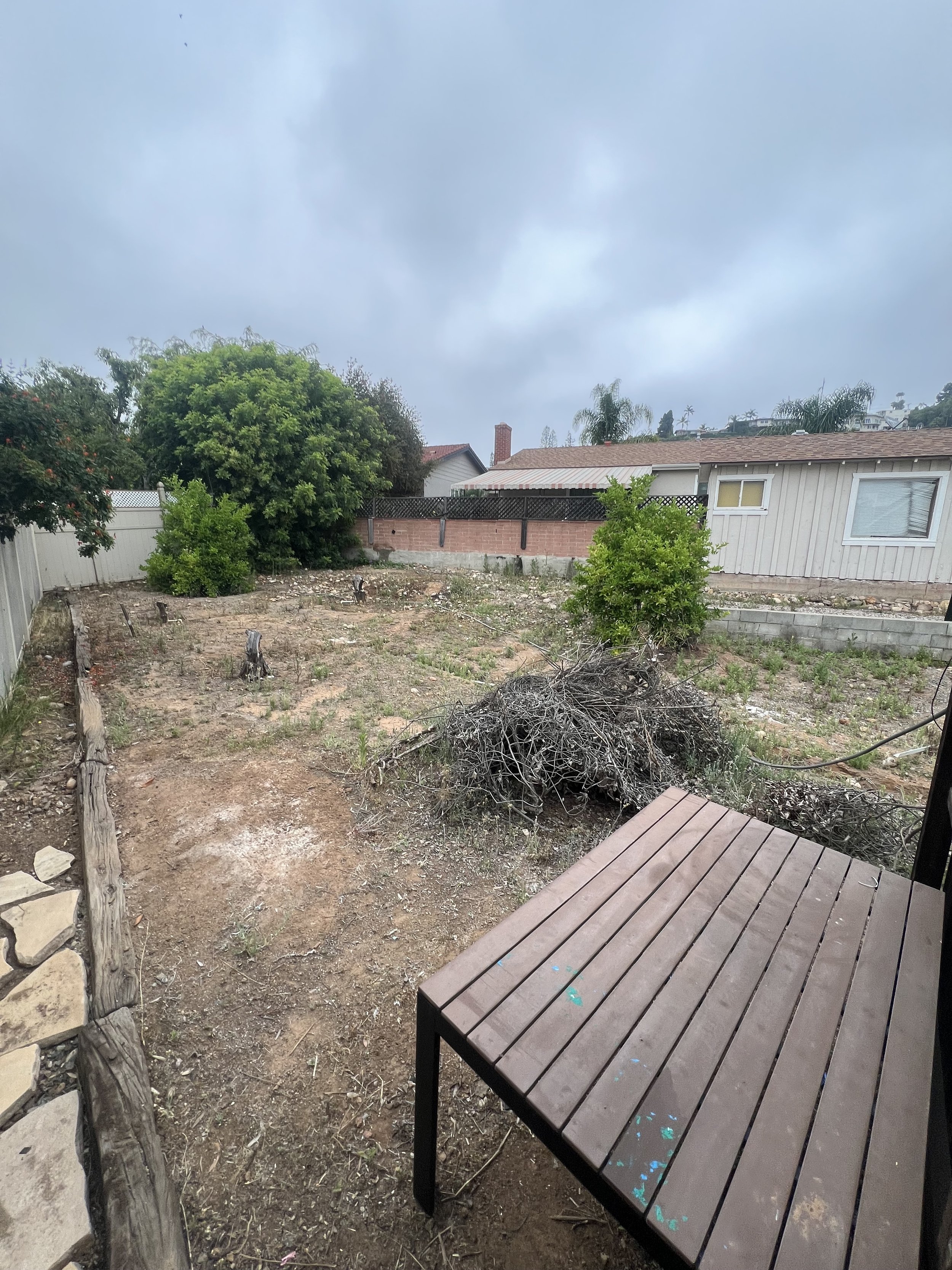 Gallery image 6 — exotic fruit tree planting near me