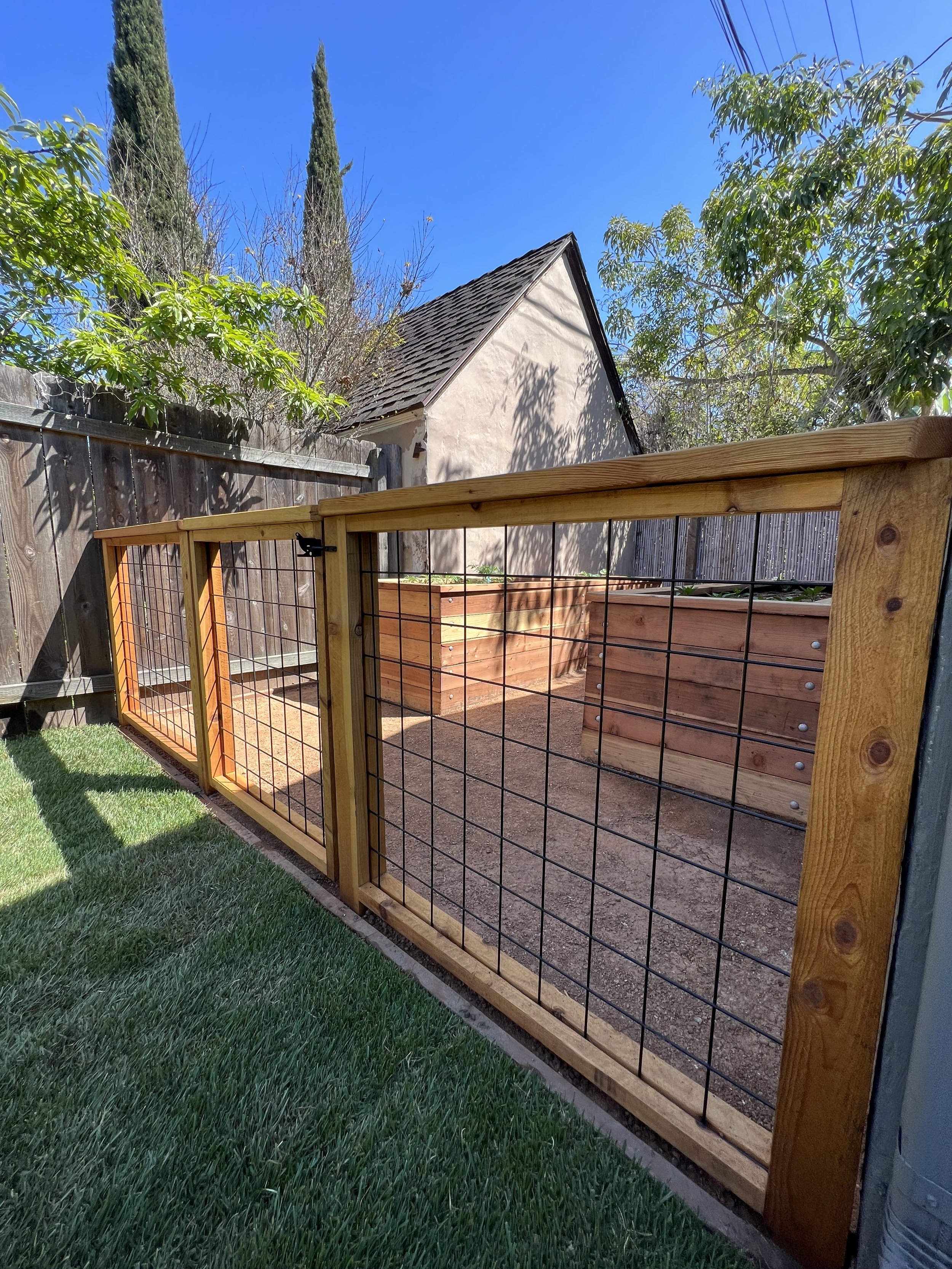 Gallery image 5 — exotic fruit tree planting near me